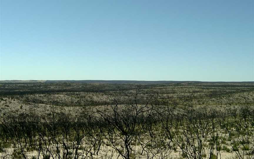 Ngarkat Conservation Park, Lameroo, SA