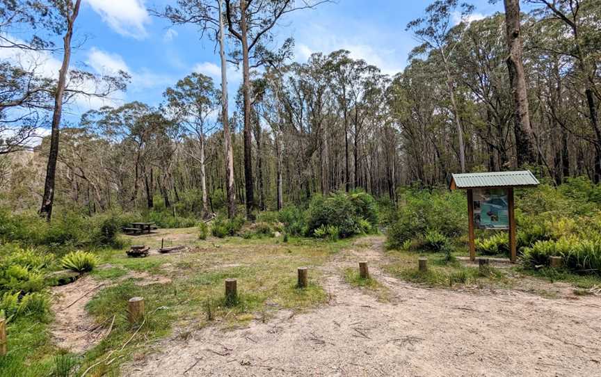 Corn Trail Walking Track, Buckenbowra, NSW