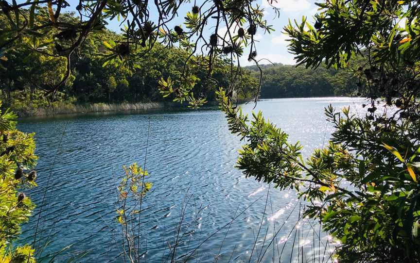 Naree Budjong Djara National Park, North Stradbroke Island, QLD