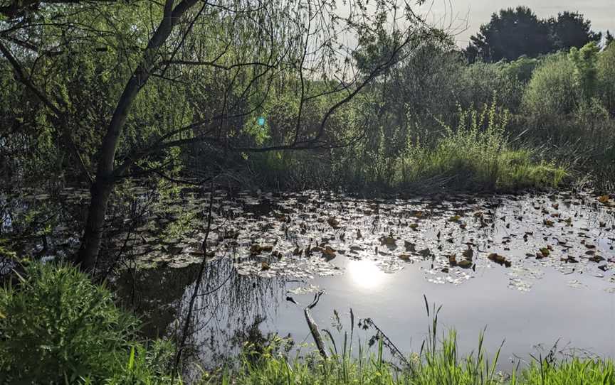 Nortons Park, Wantirna South, VIC