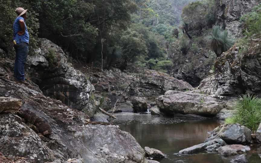 Nowendoc National Park, Nowendoc, NSW