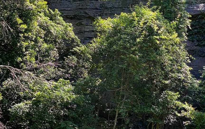 Grotto Walk, North Nowra, NSW