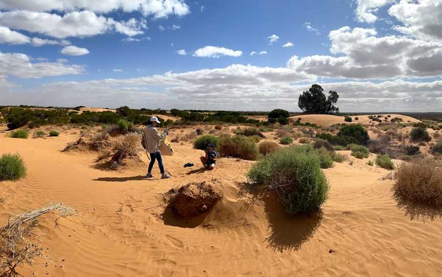 Perry Sandhills, Wentworth, NSW