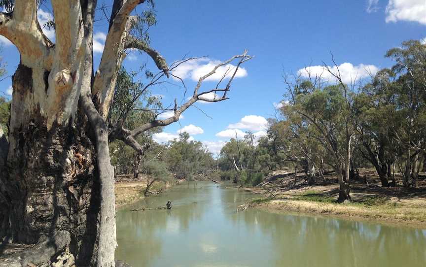 Chowilla Game Reserve And Regional Reserve, Renmark, SA