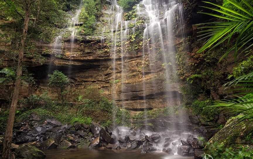 Watagans National Park, Olney, NSW