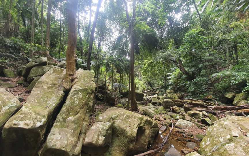 Watagans National Park, Olney, NSW