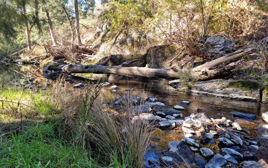 Fourth Crossing picnic area, Ophir, NSW