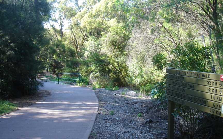 Great North Walk – Ku-ring-gai Chase National Park, Cowan, NSW