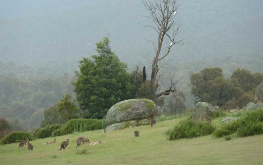 Tidbinbilla Nature Reserve, Paddys River, ACT