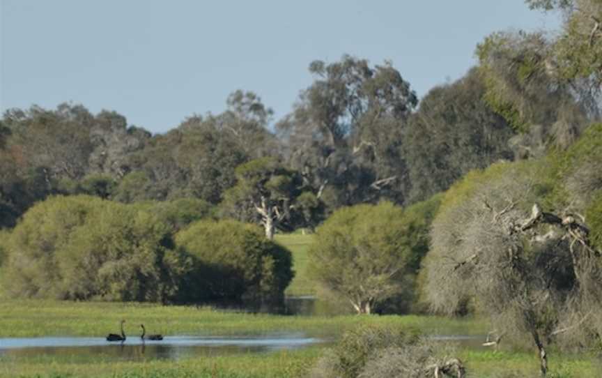 Whiteman Park, Whiteman, WA