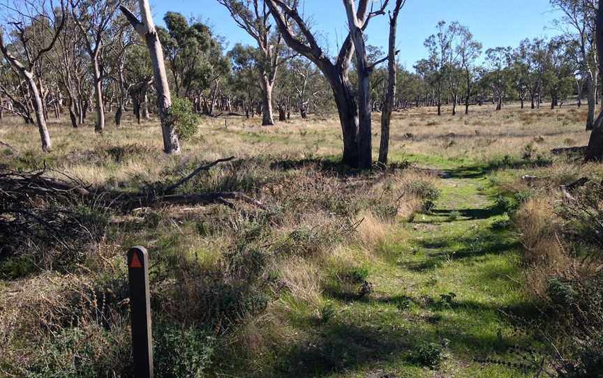 Wyperfeld National Park, Yaapeet, VIC