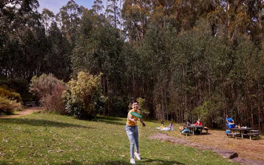 Jehosaphat Gully Picnic Area, Kinglake, VIC