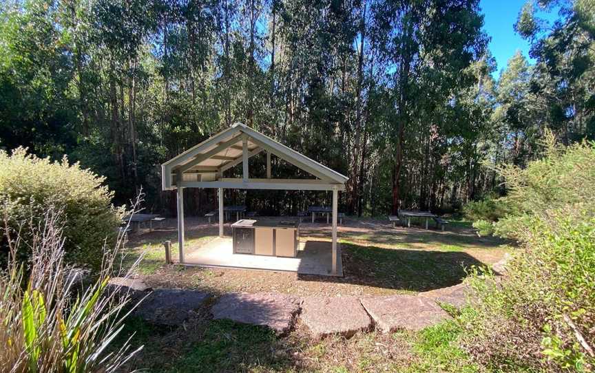 Jehosaphat Gully Picnic Area, Kinglake, VIC