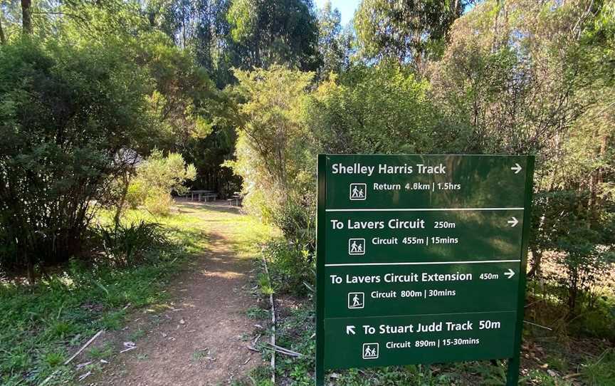 Jehosaphat Gully Picnic Area, Kinglake, VIC