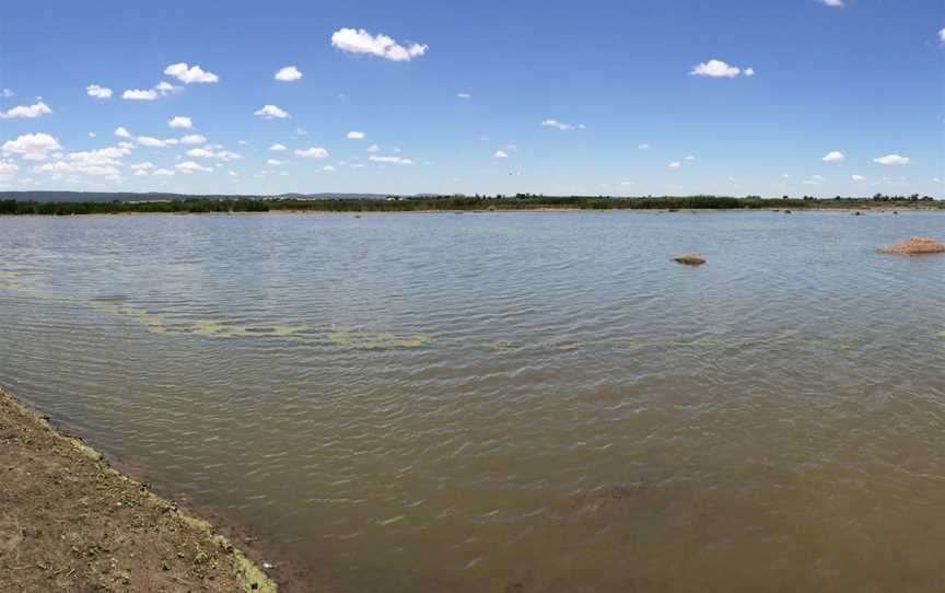 Fivebough Wetlands, Leeton, NSW