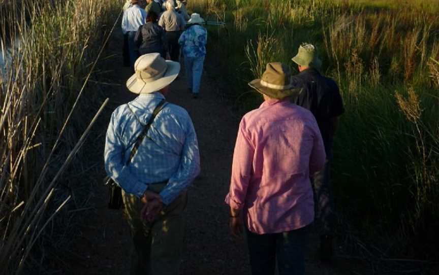 Fivebough Wetlands, Leeton, NSW