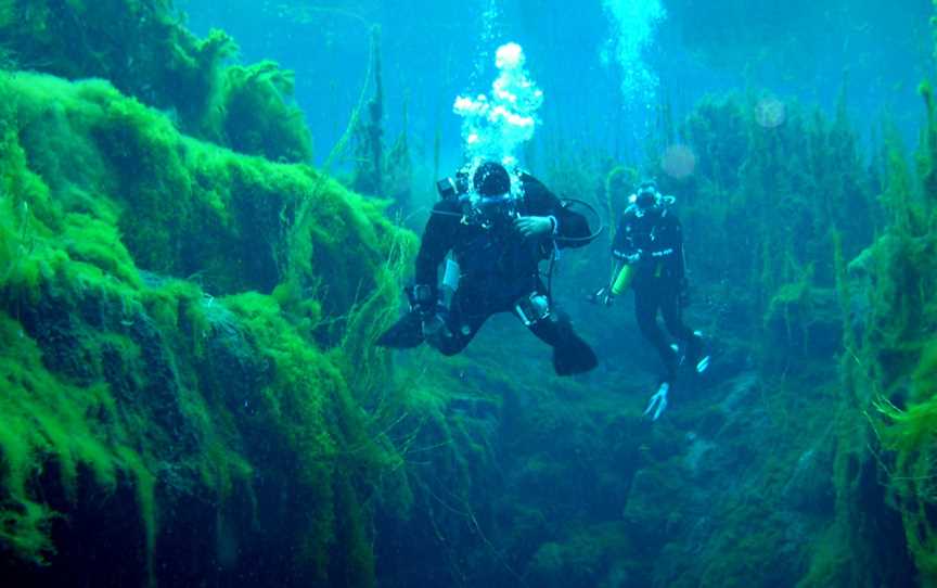 Piccaninnie Ponds Conservation Park, Wye, SA