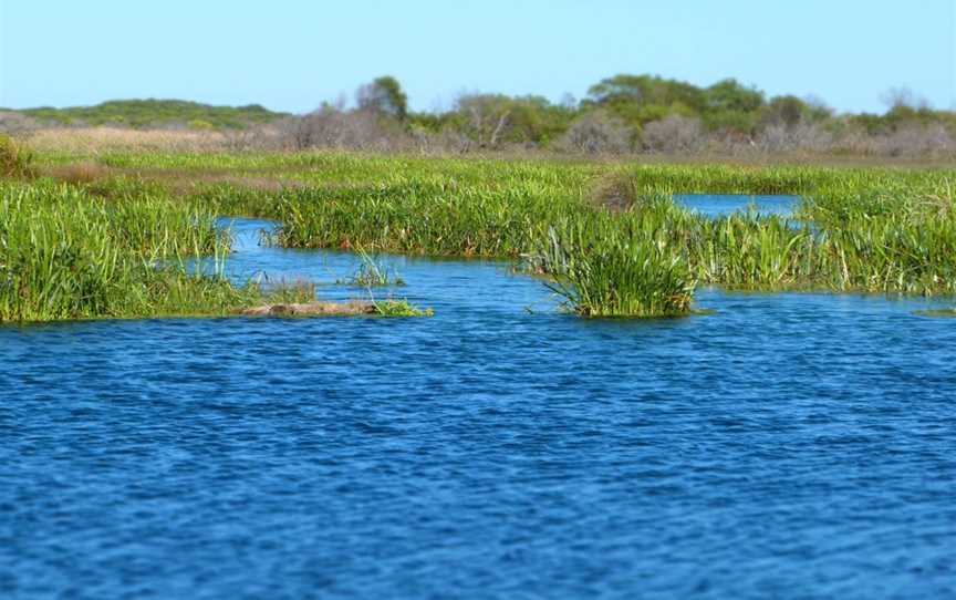 Piccaninnie Ponds Conservation Park, Wye, SA