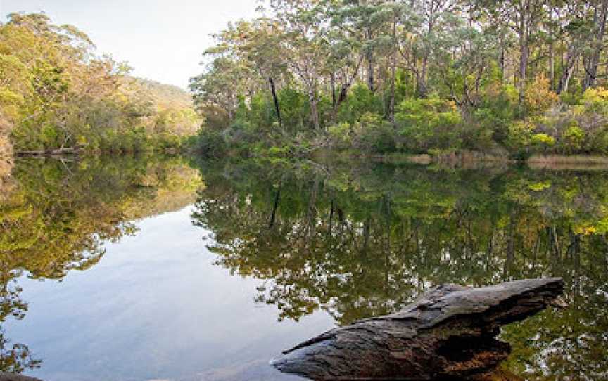 Lake Eckersley picnic area, Heathcote, NSW