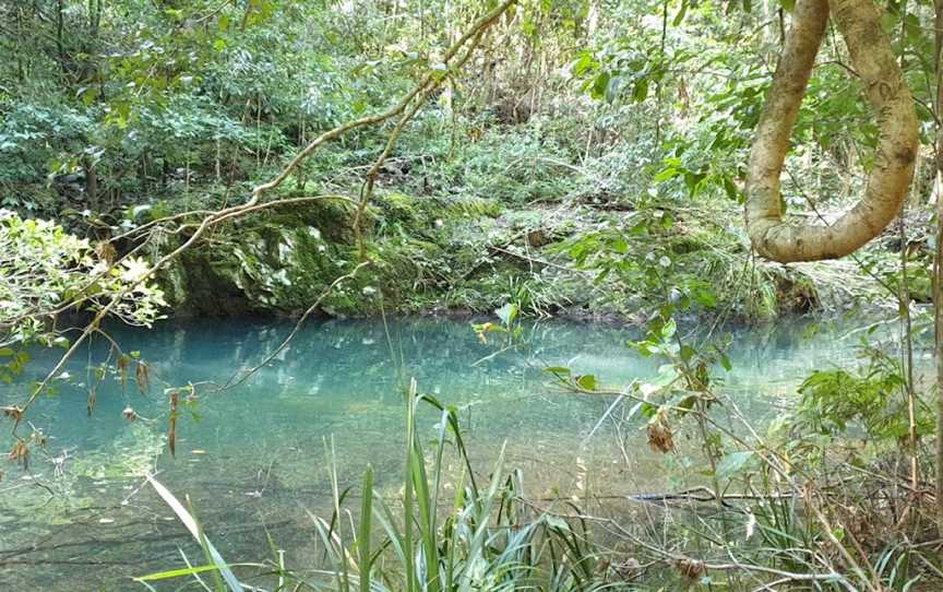 Potoroo Falls walk, Dingo Forest, NSW