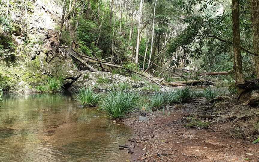 Potoroo Falls walk, Dingo Forest, NSW