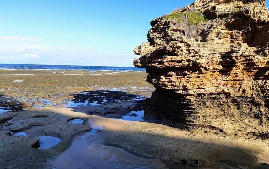 Port Phillip Heads Marine National Park, Portsea, VIC