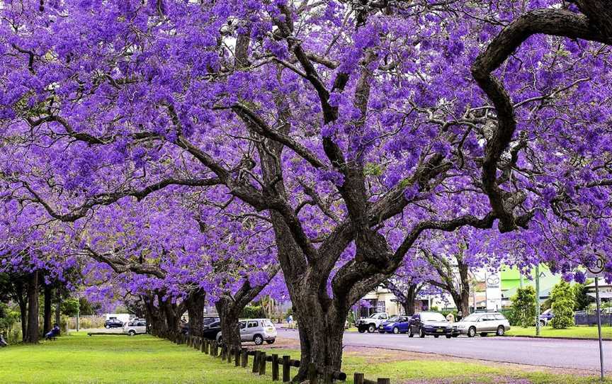 See Park - Grafton, Grafton, NSW