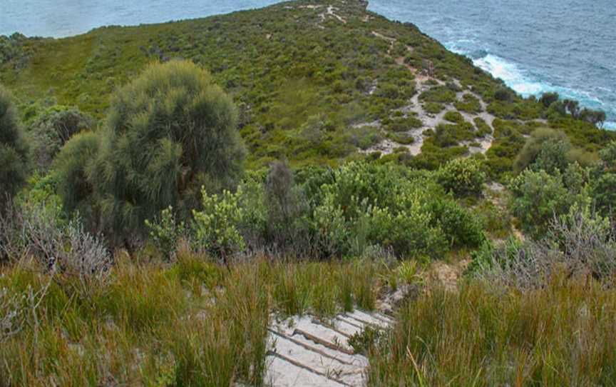 Snapper Point lookout, Pretty Beach, NSW