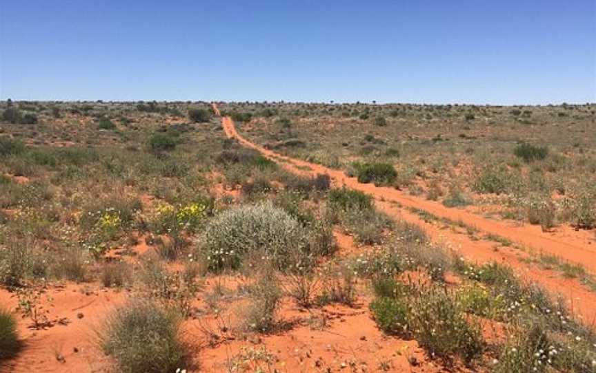 Munga-Thirri  National Park (Simpson Desert), Birdsville, QLD