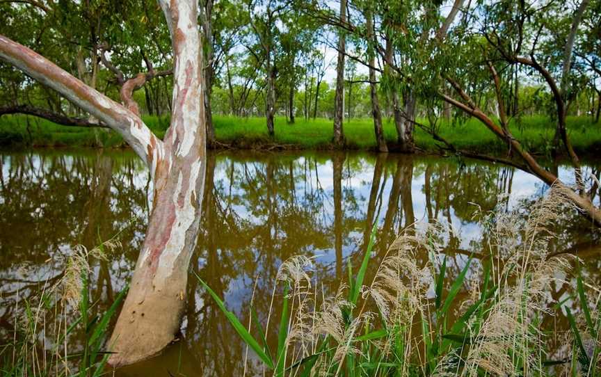 Injune Lagoon Walk, Injune, QLD