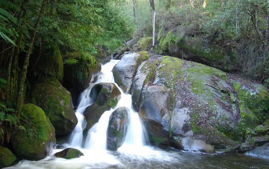 Yarra Ranges National Park, Reefton, VIC