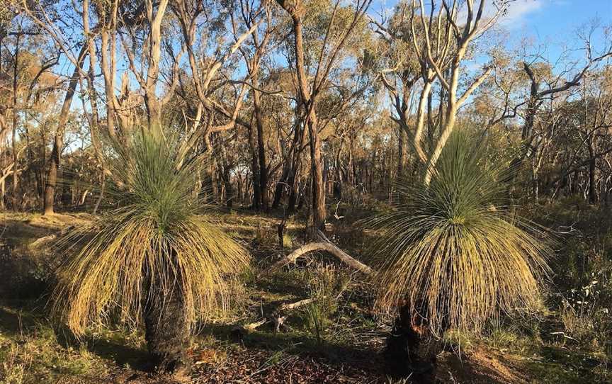 Pangerang Lookout Walk, Killawarra, VIC