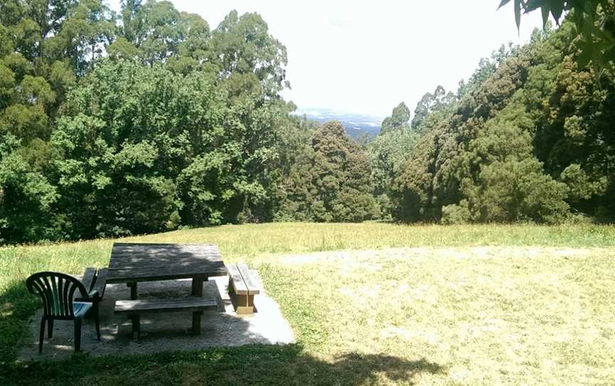 Mount Dandenong Arboretum, Mount Dandenong, VIC