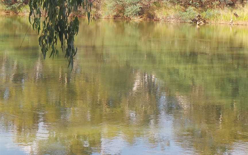 Lions Park South Corowa, Corowa, NSW