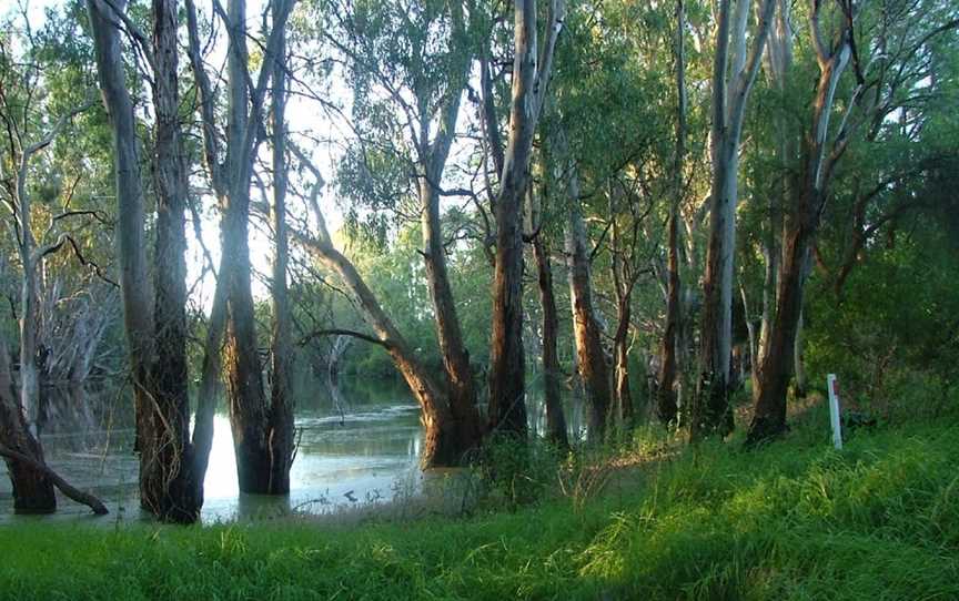 Five Rivers Fishing Trail, Balranald, NSW