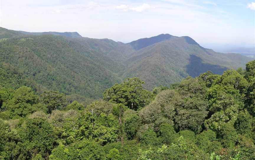 Dorrigo National Park, Never Never, NSW