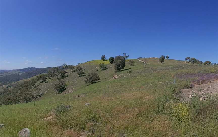 The Bridle Track: Root Hog Road Track, Gowan, NSW