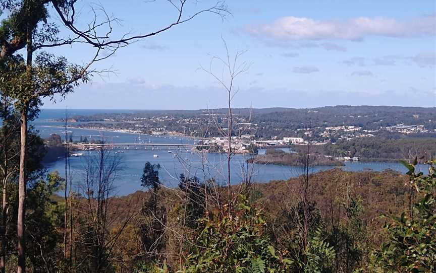 Clyde River National Park, Batemans Bay, NSW