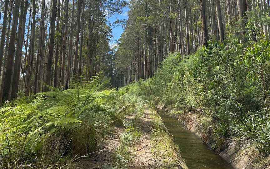 Rubicon Aqueducts Walk to Rubicon Dam, Rubicon, VIC