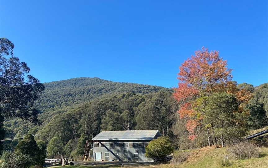 Rubicon Falls Walk, Rubicon, VIC