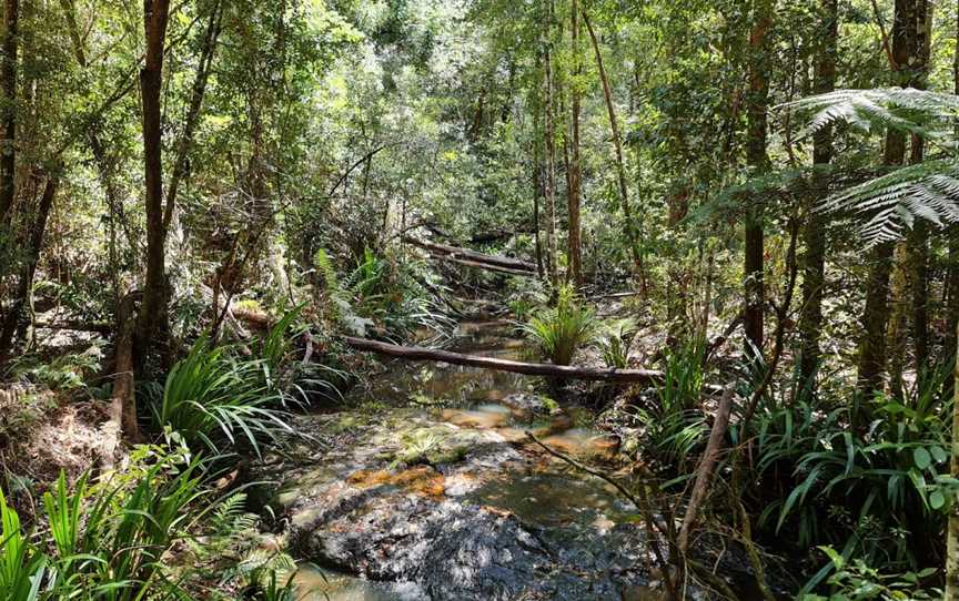 Whian Whian State Conservation Area, Whian Whian, NSW