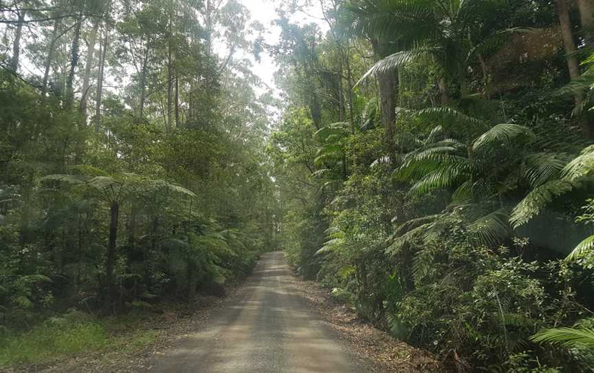 Whian Whian State Conservation Area, Whian Whian, NSW