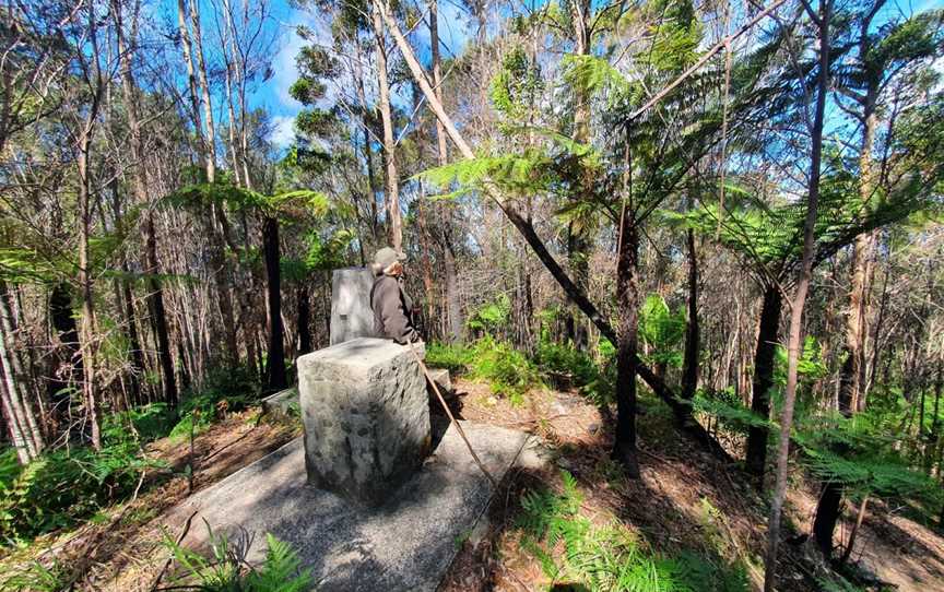 Whian Whian State Conservation Area, Whian Whian, NSW