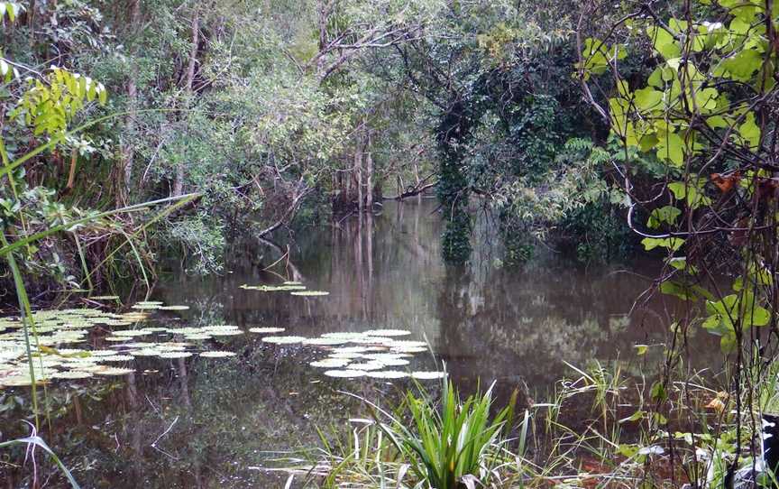 Russell River National Park, Bramston Beach, QLD