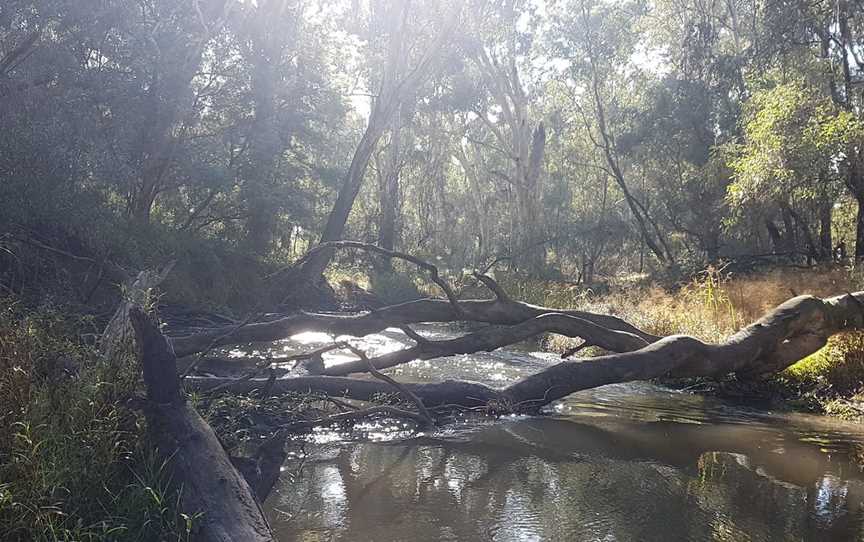 Kaluna Park, Wangaratta, VIC