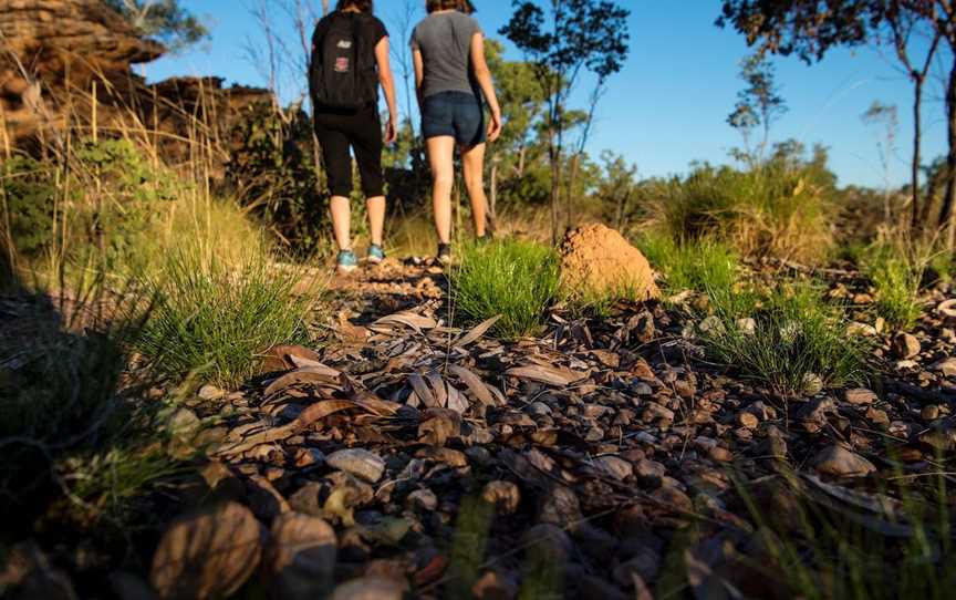 Savannah Way, Borroloola, NT