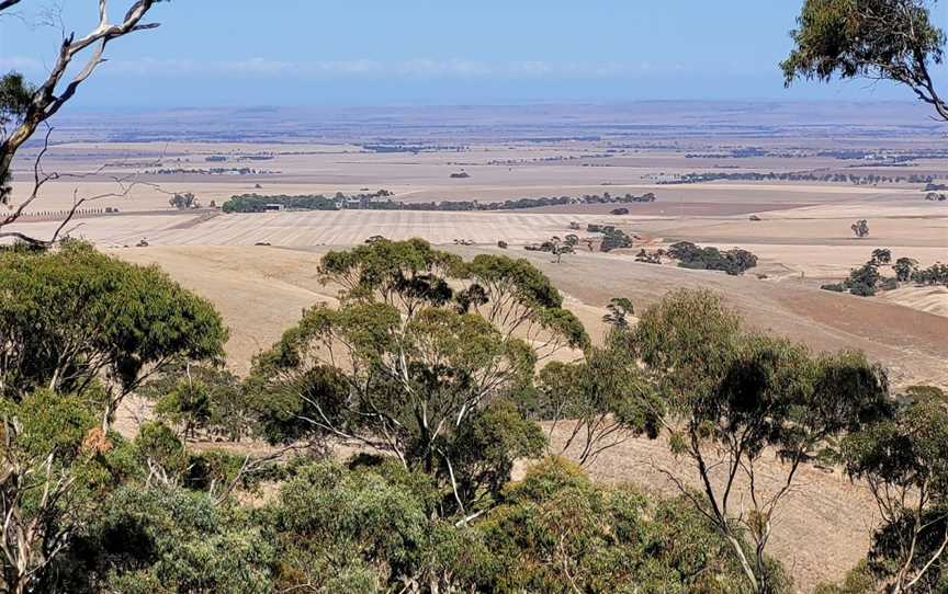 Spring Gully Conservation Park, Spring Gully, SA