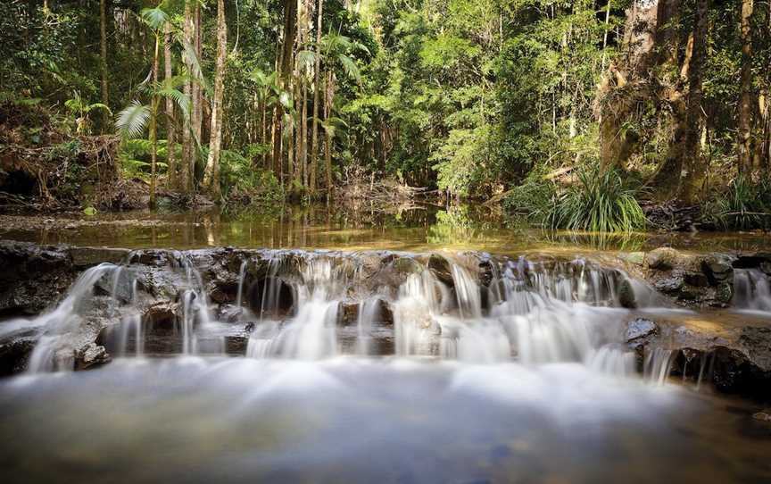 Orara East State Forest, Coffs Harbour, NSW