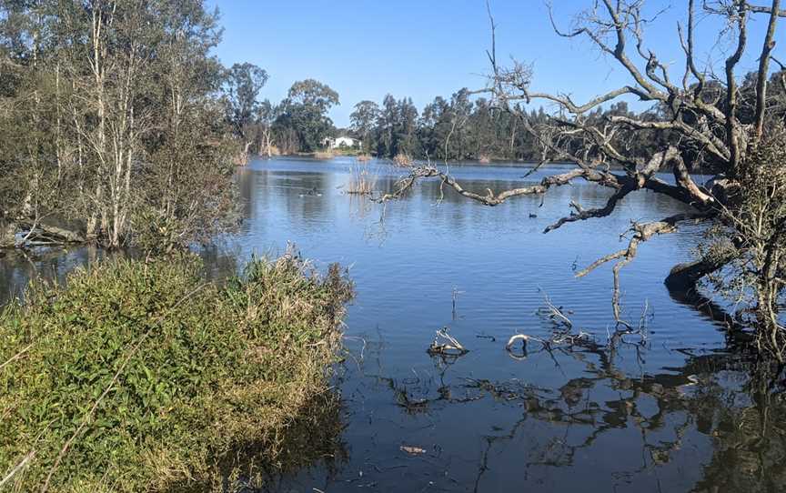 Seaham Swamp Nature Reserve, Seaham, NSW