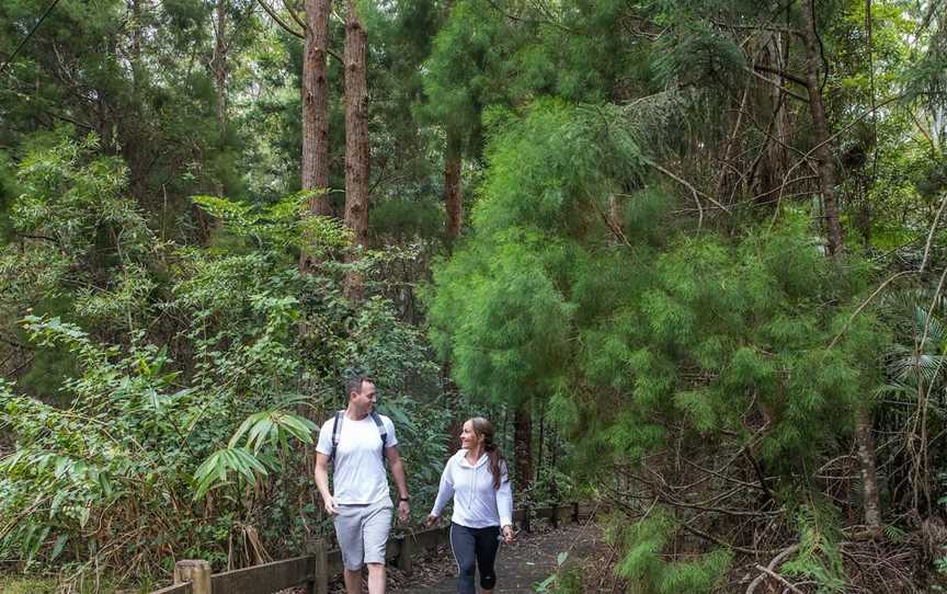 Somerset Trail, Mount Mee, QLD